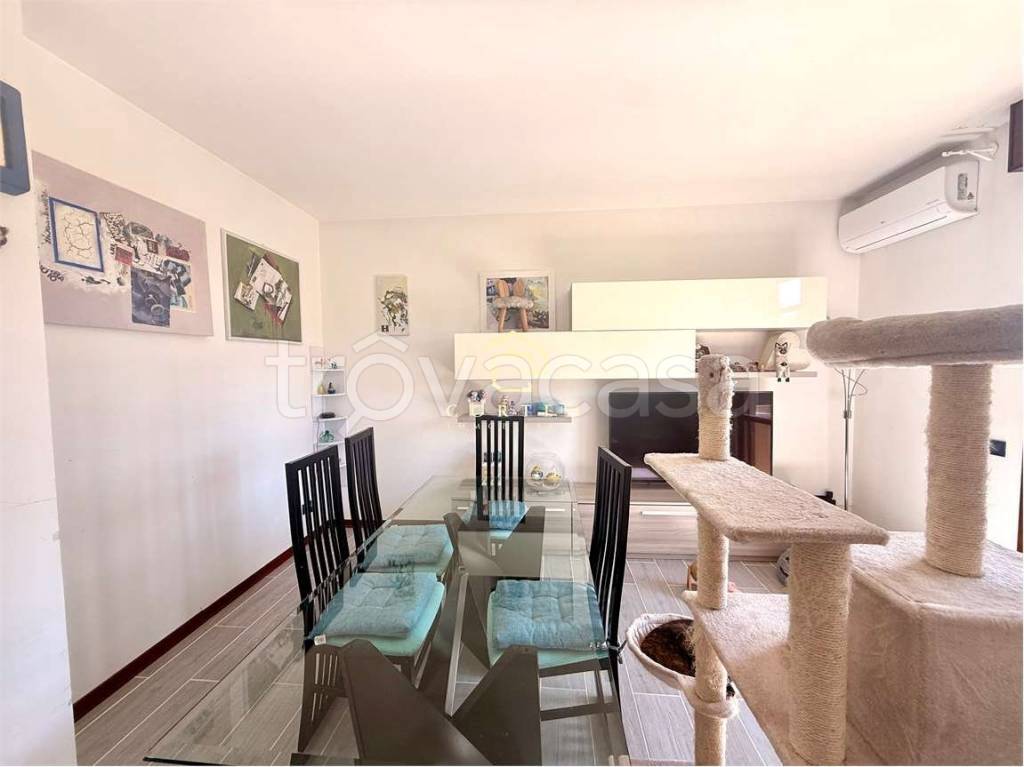 immagine annuncio 1 di 12