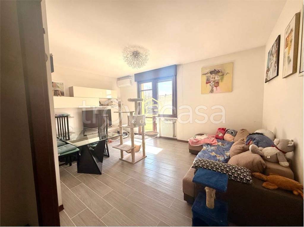 immagine annuncio 3 di 12