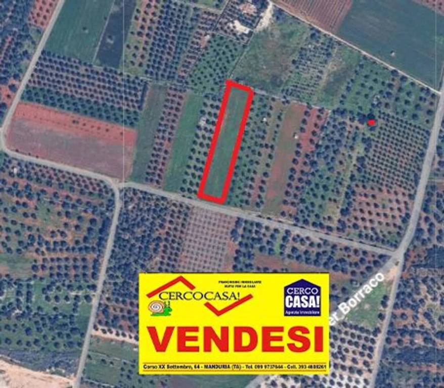 immagine annuncio 2 di 9