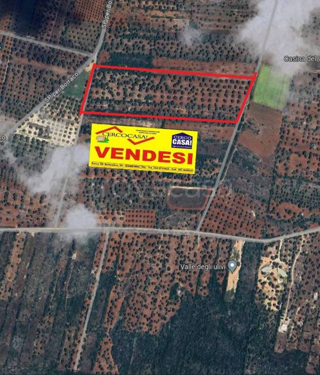 immagine annuncio 1 di 14