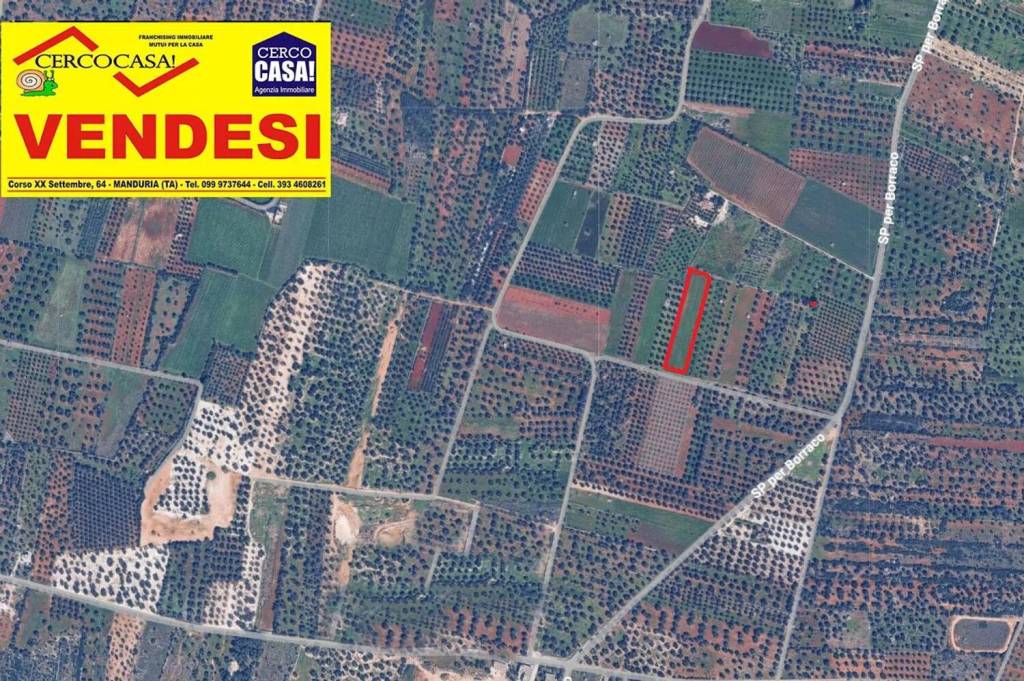 immagine annuncio 3 di 9