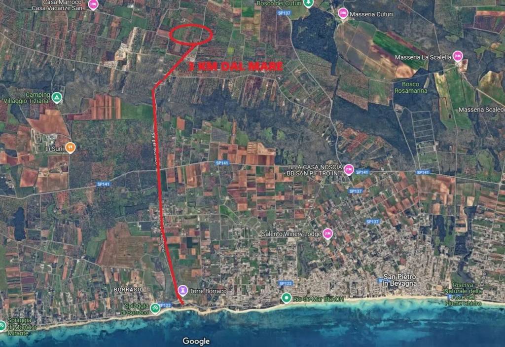 immagine annuncio 4 di 9