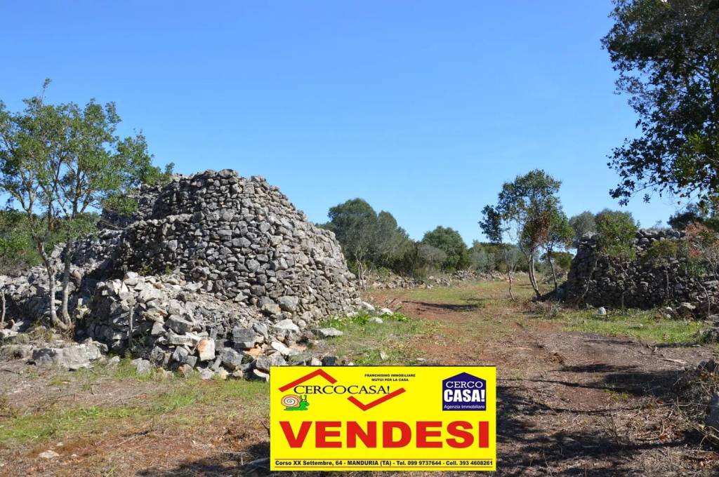 immagine annuncio 3 di 14