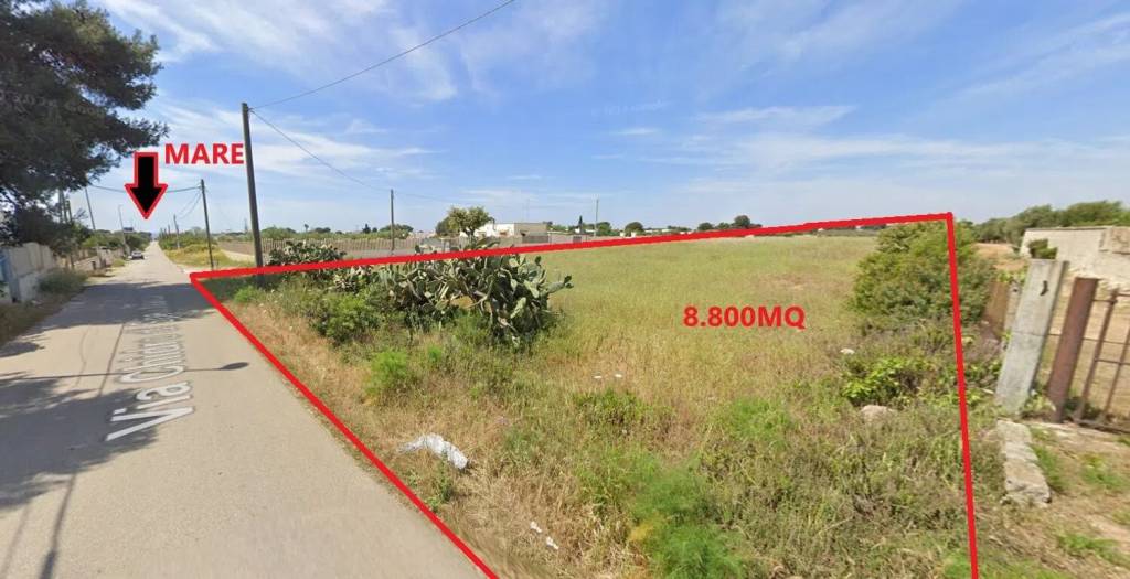 immagine annuncio 2 di 12