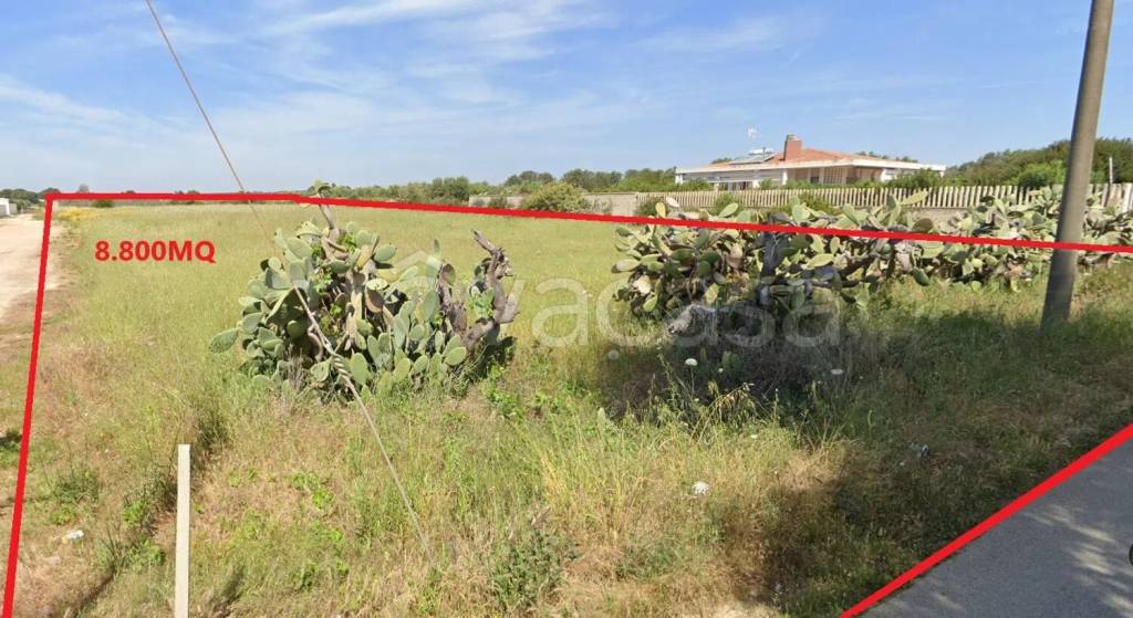 immagine annuncio 3 di 12