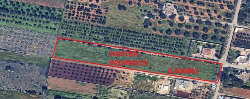 immagine annuncio 4 di 12