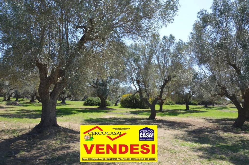 immagine annuncio 6 di 14