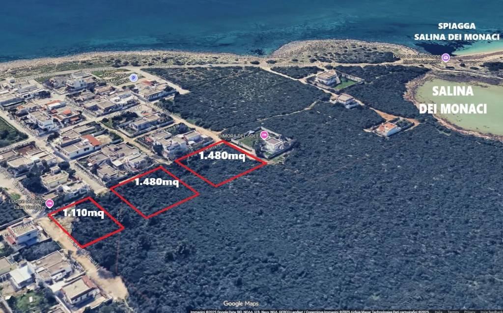 immagine annuncio 11 di 15