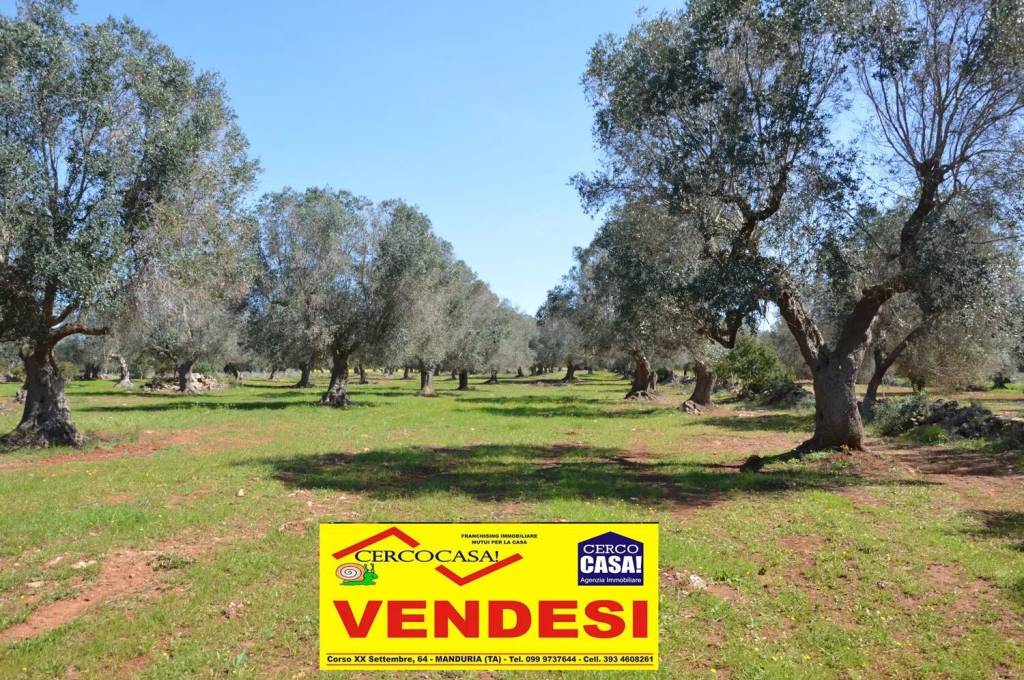 immagine annuncio 7 di 14