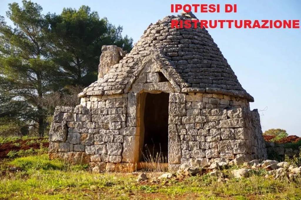 immagine annuncio 8 di 14