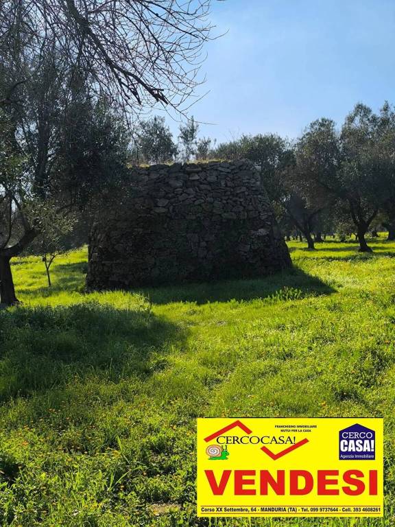 immagine annuncio 10 di 15