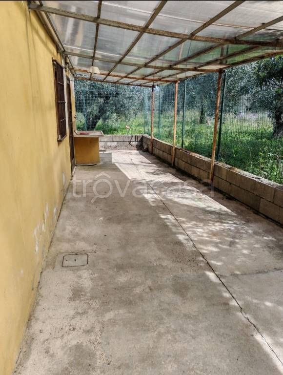 immagine annuncio 8 di 11