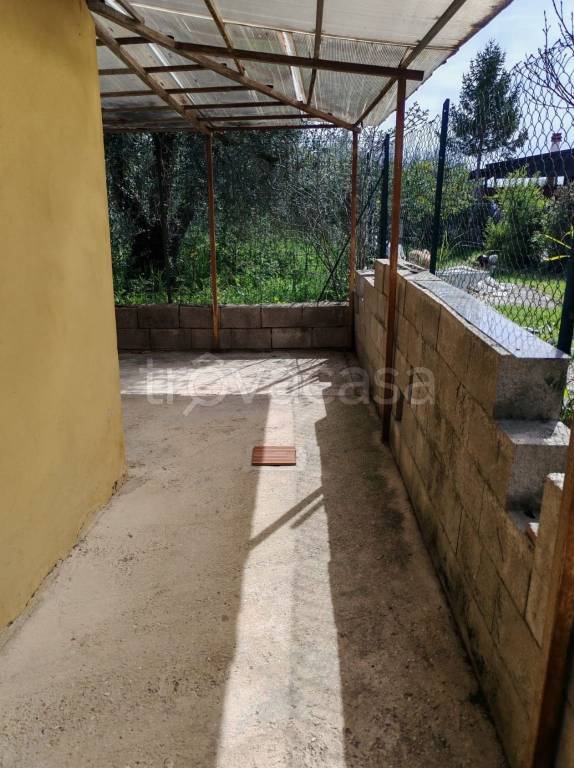 immagine annuncio 9 di 11