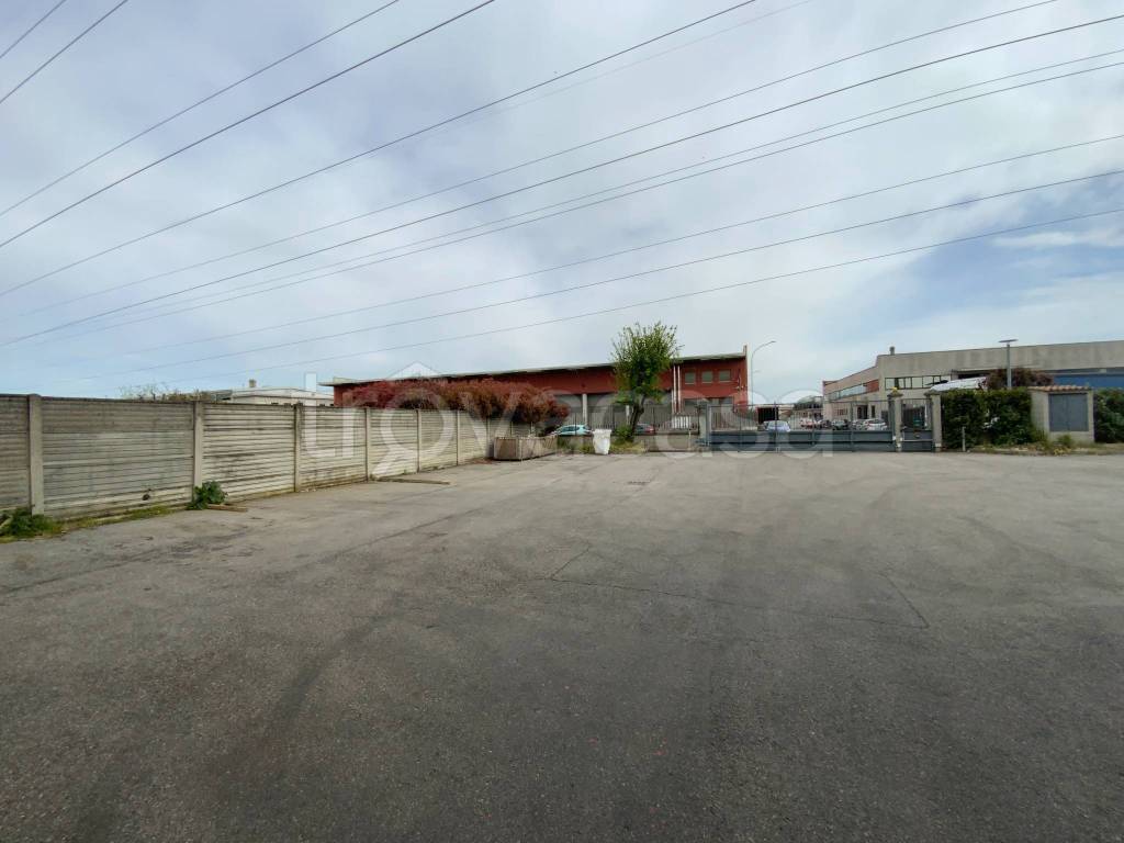 immagine annuncio 5 di 15