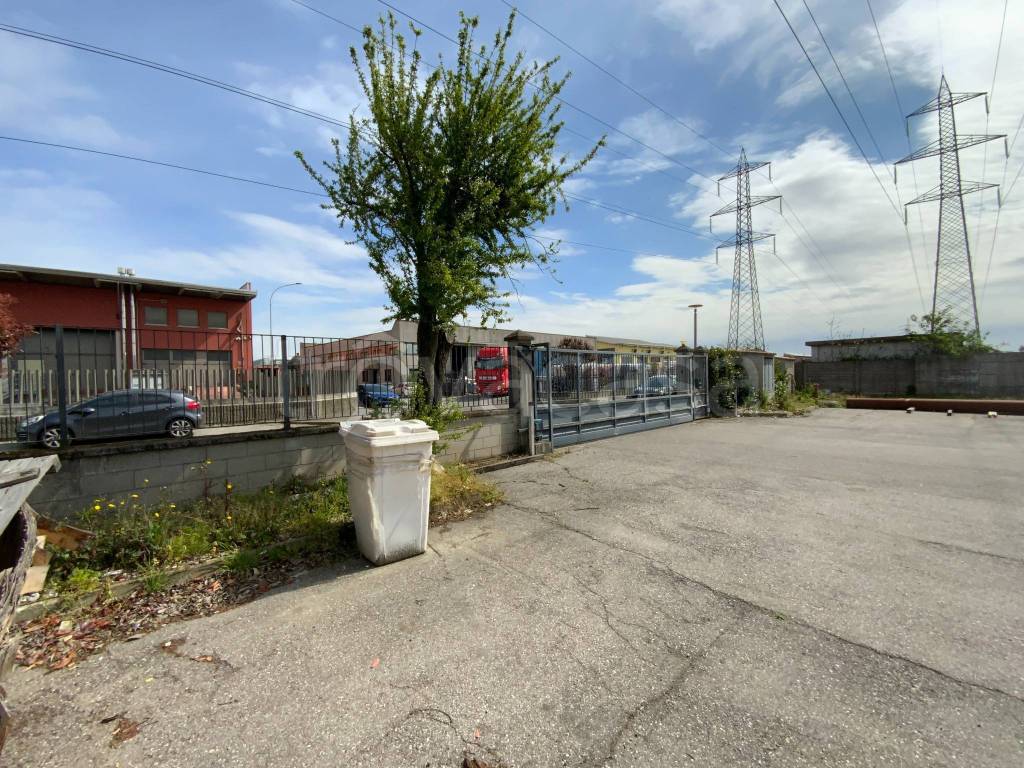 immagine annuncio 9 di 15