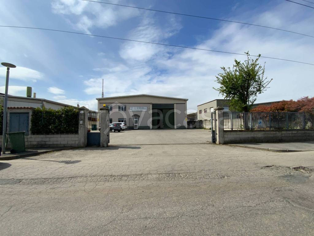 immagine annuncio 1 di 15