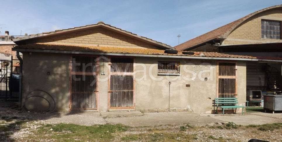 immagine annuncio 5 di 11