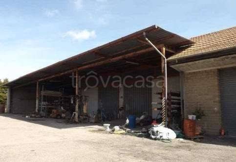 immagine annuncio 10 di 11