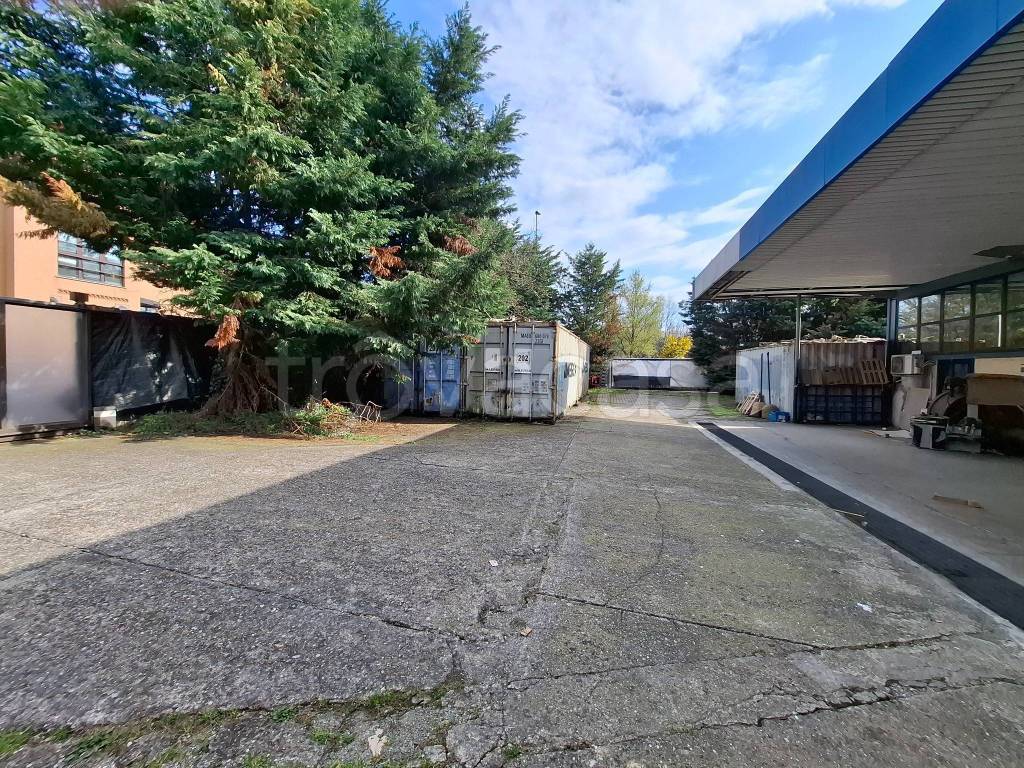 immagine annuncio 3 di 15