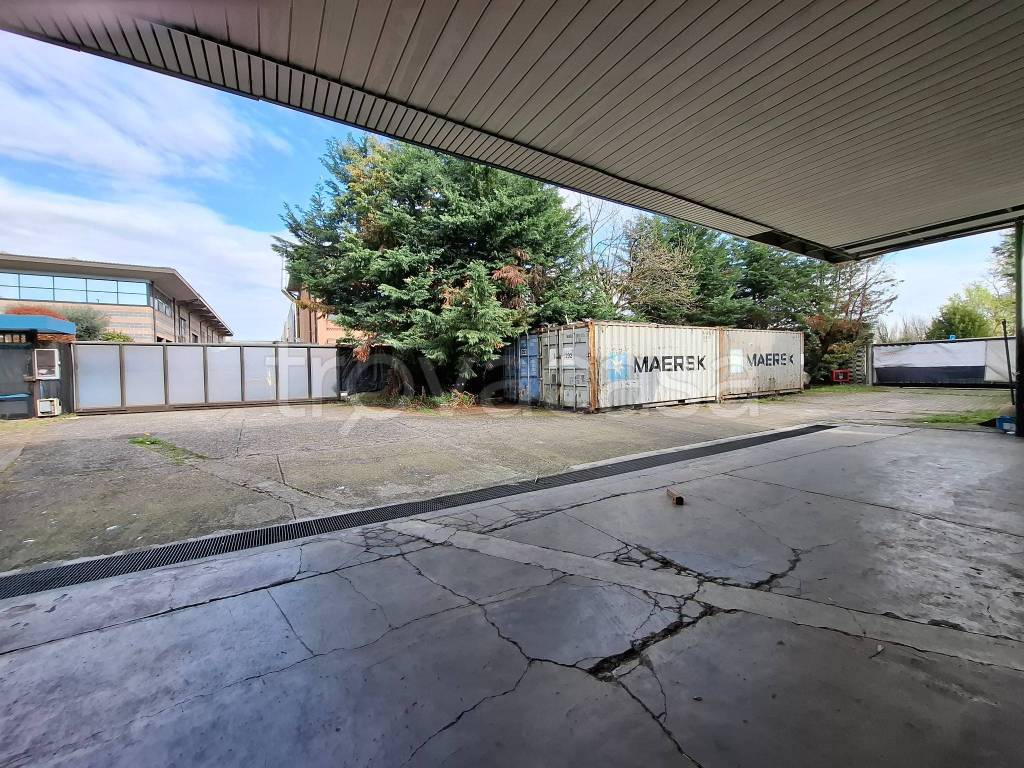 immagine annuncio 4 di 15