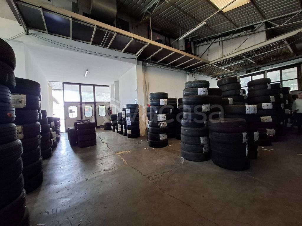 immagine annuncio 6 di 15