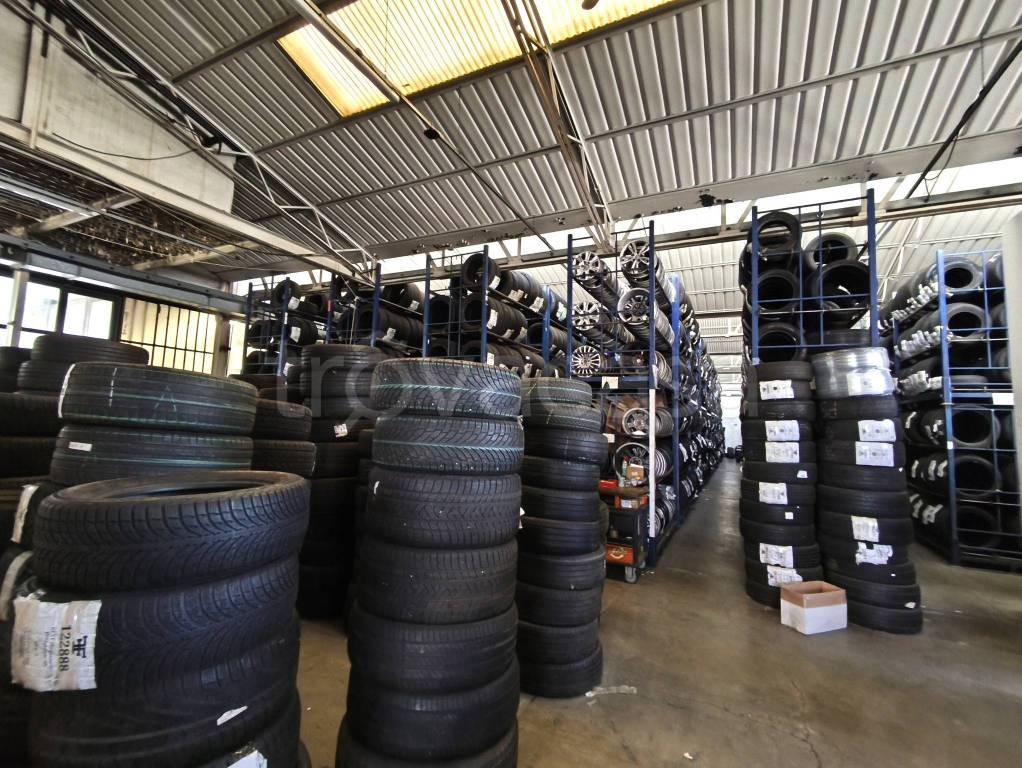 immagine annuncio 10 di 15