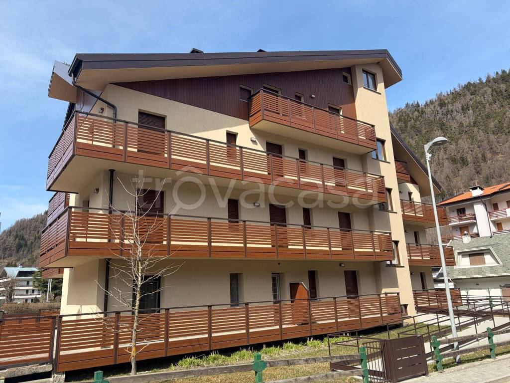 immagine annuncio 1 di 4