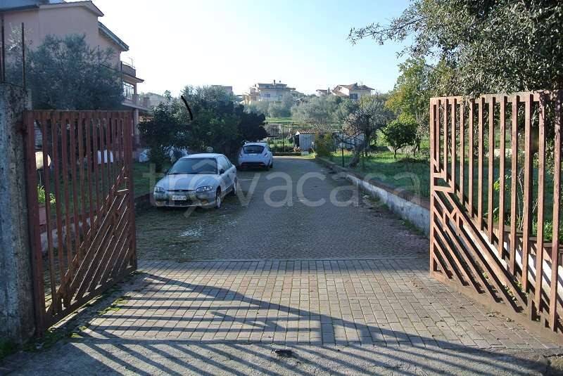 immagine annuncio 2 di 7