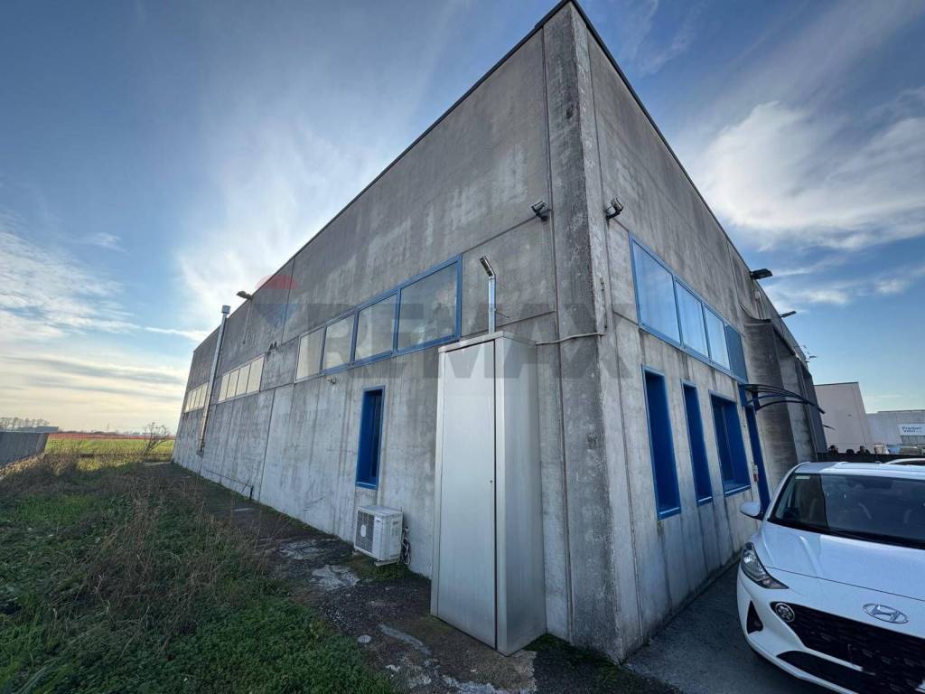 immagine annuncio 4 di 11