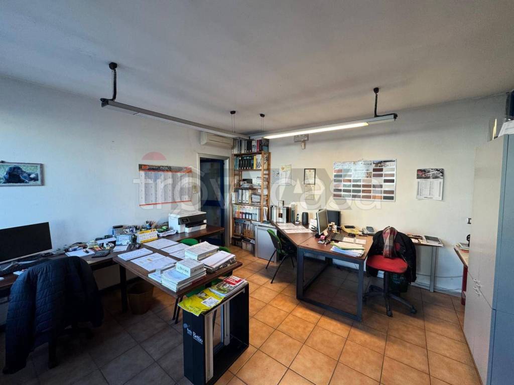 immagine annuncio 8 di 11