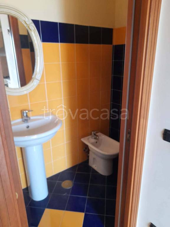 immagine annuncio 5 di 12