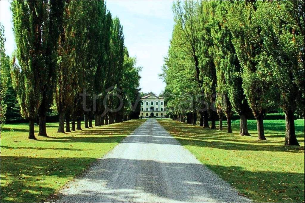 immagine annuncio 7 di 14