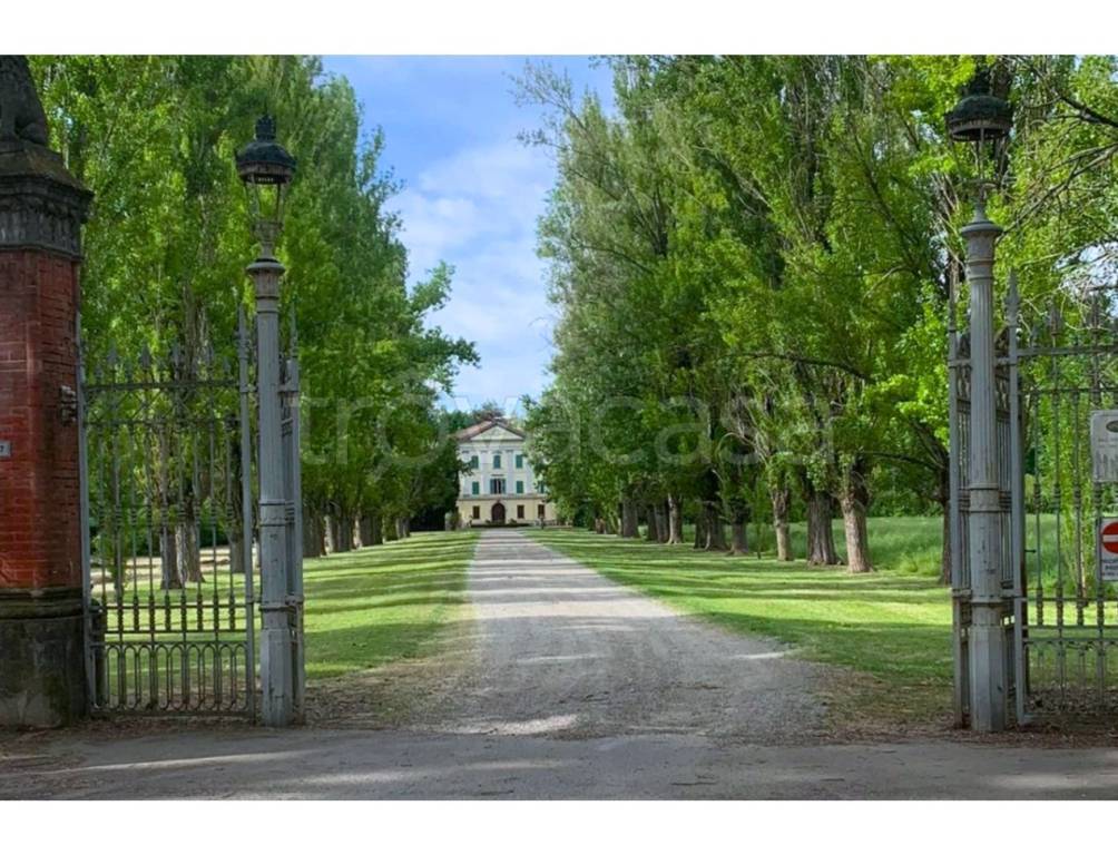 immagine annuncio 8 di 14