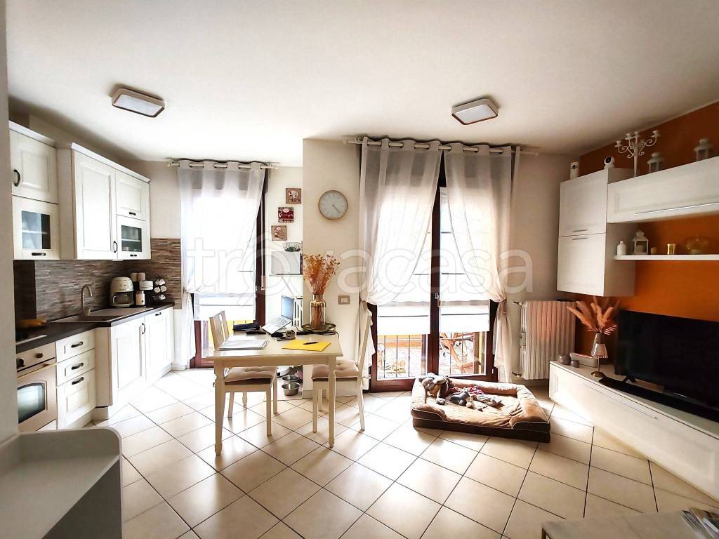 immagine annuncio 7 di 15