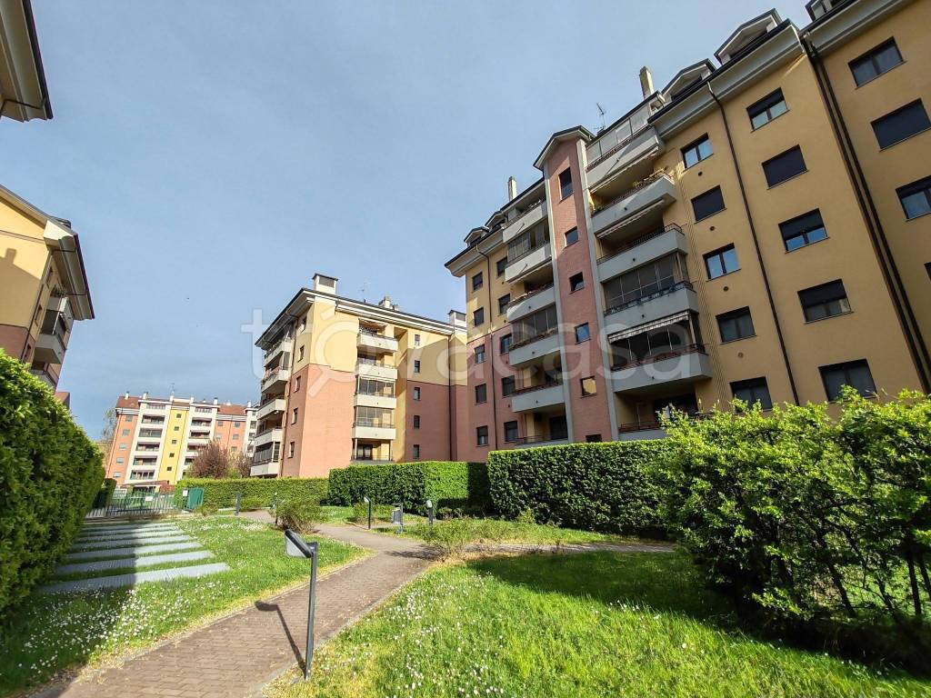 immagine annuncio 5 di 15