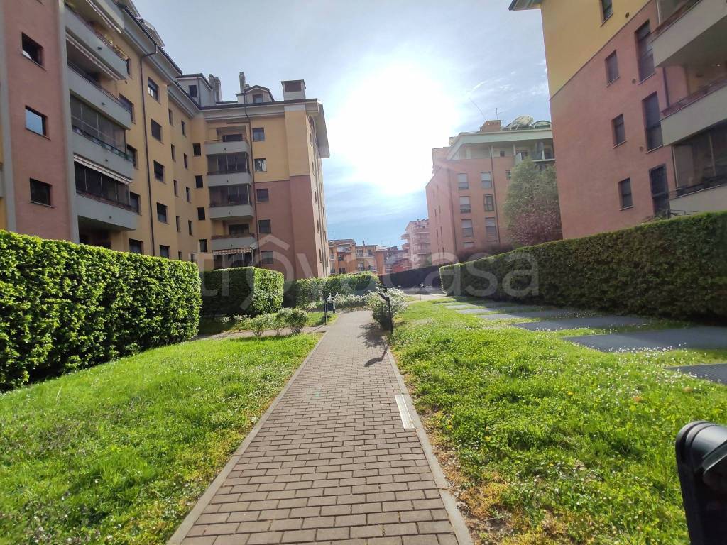 immagine annuncio 4 di 15