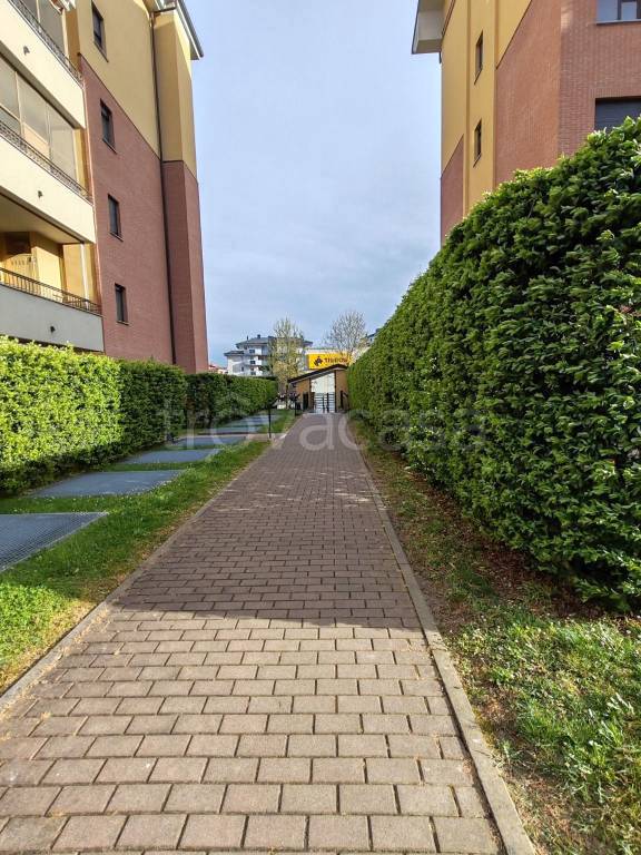 immagine annuncio 6 di 15