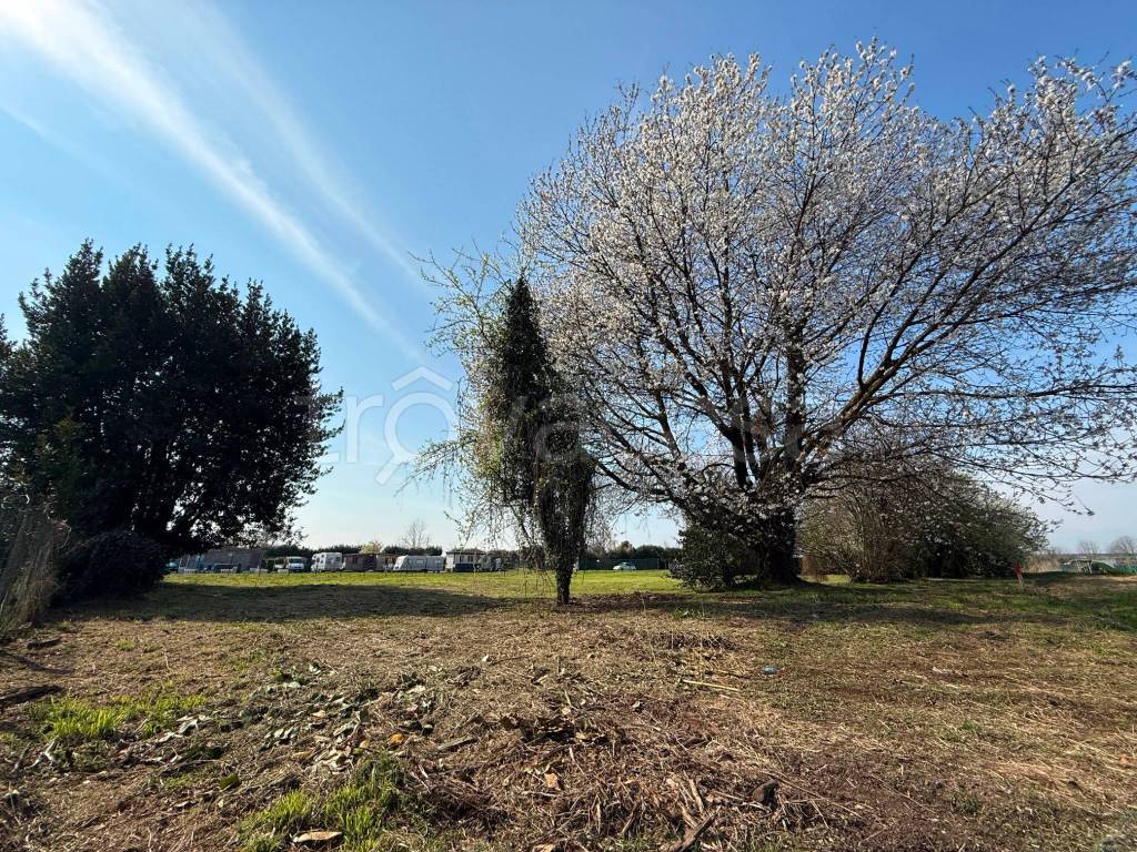 immagine annuncio 2 di 8