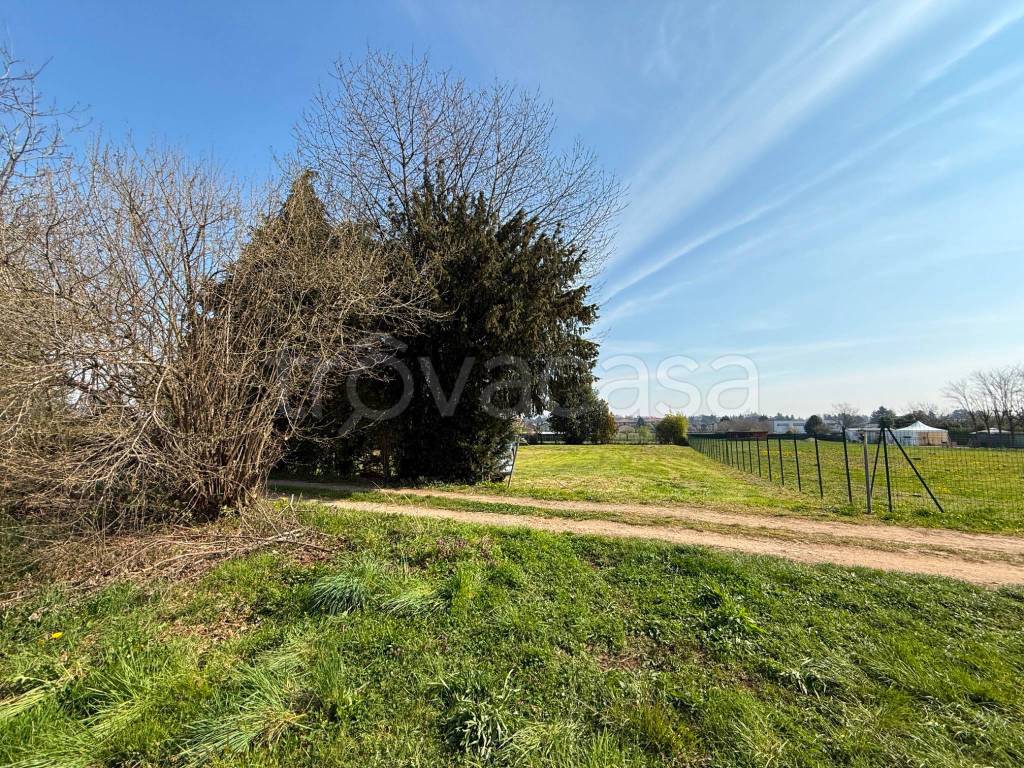 immagine annuncio 3 di 8