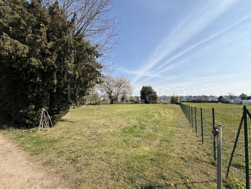 immagine annuncio 4 di 8