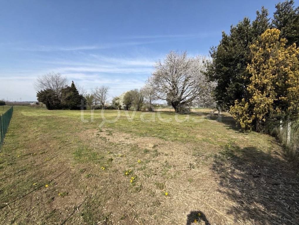 immagine annuncio 5 di 8