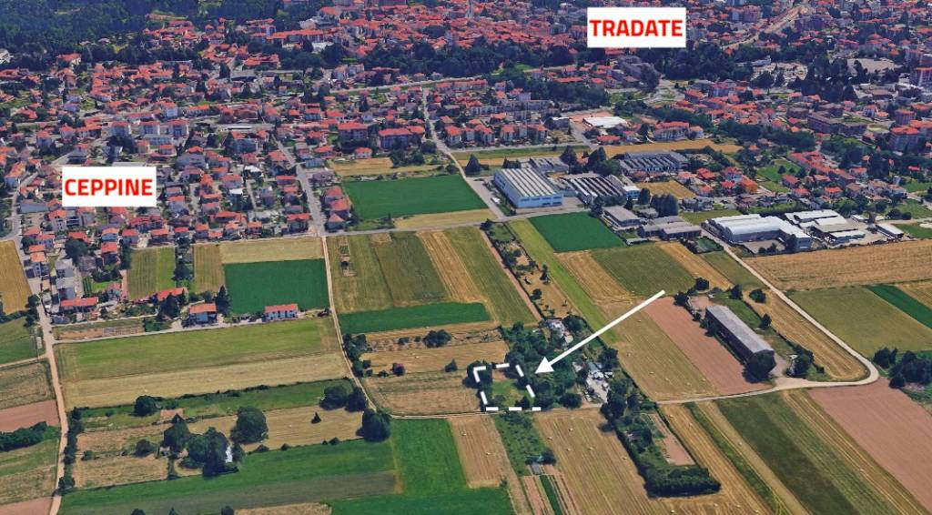 immagine annuncio 7 di 8