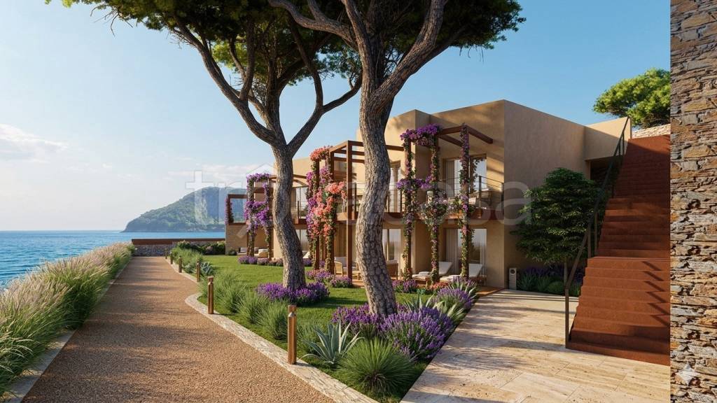 immagine annuncio 9 di 14