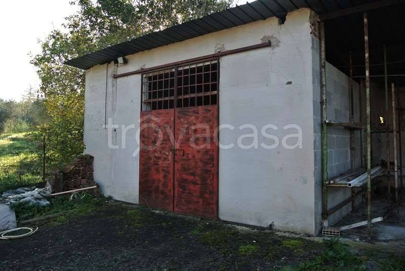 immagine annuncio 4 di 7