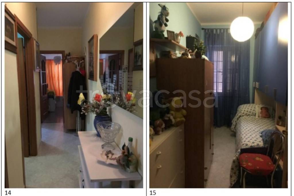 immagine annuncio 3 di 15