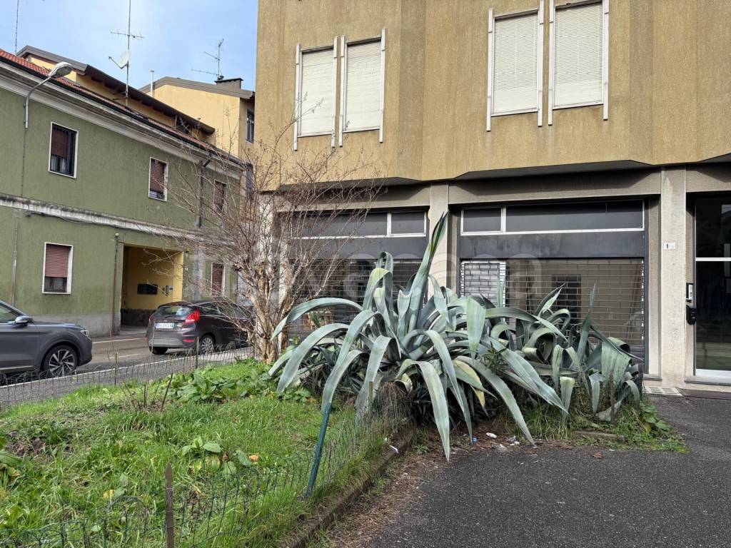 immagine annuncio 1 di 9