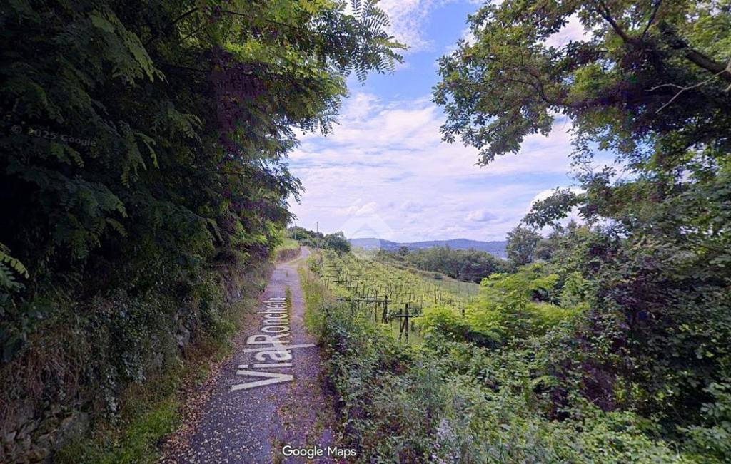 immagine annuncio 5 di 11