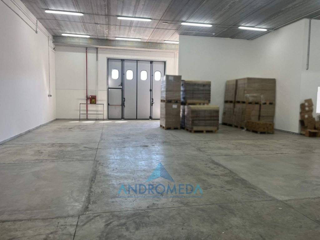 immagine annuncio 1 di 13