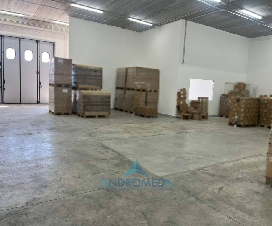 immagine annuncio 2 di 13