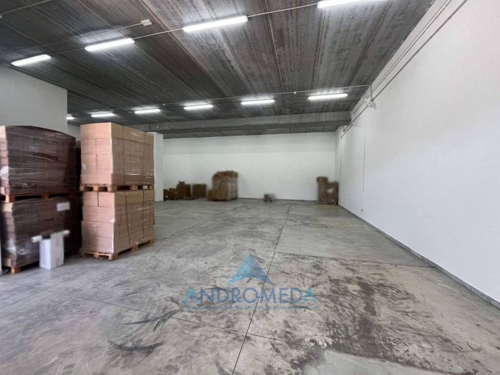 immagine annuncio 4 di 13